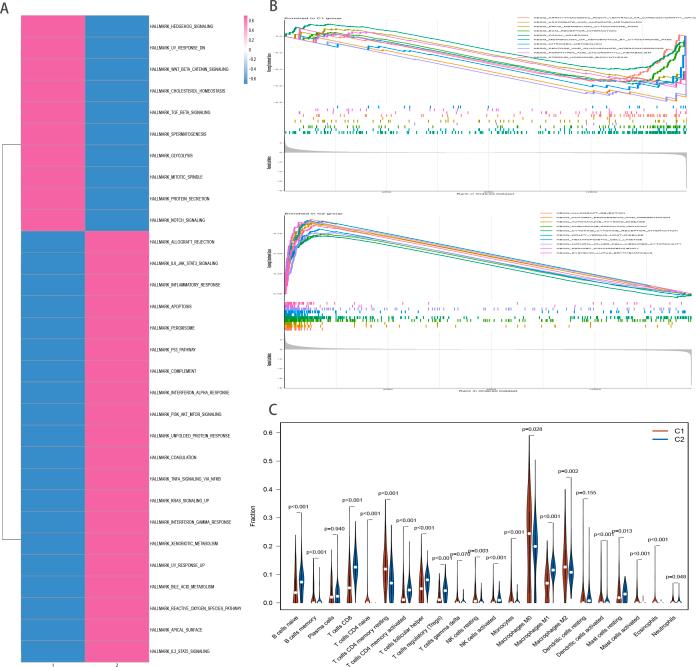 https://cdn.ncbi.nlm.nih.gov/pmc/blobs/e7a6/10559128/743faa83ccf1/mmcfigs4.jpg