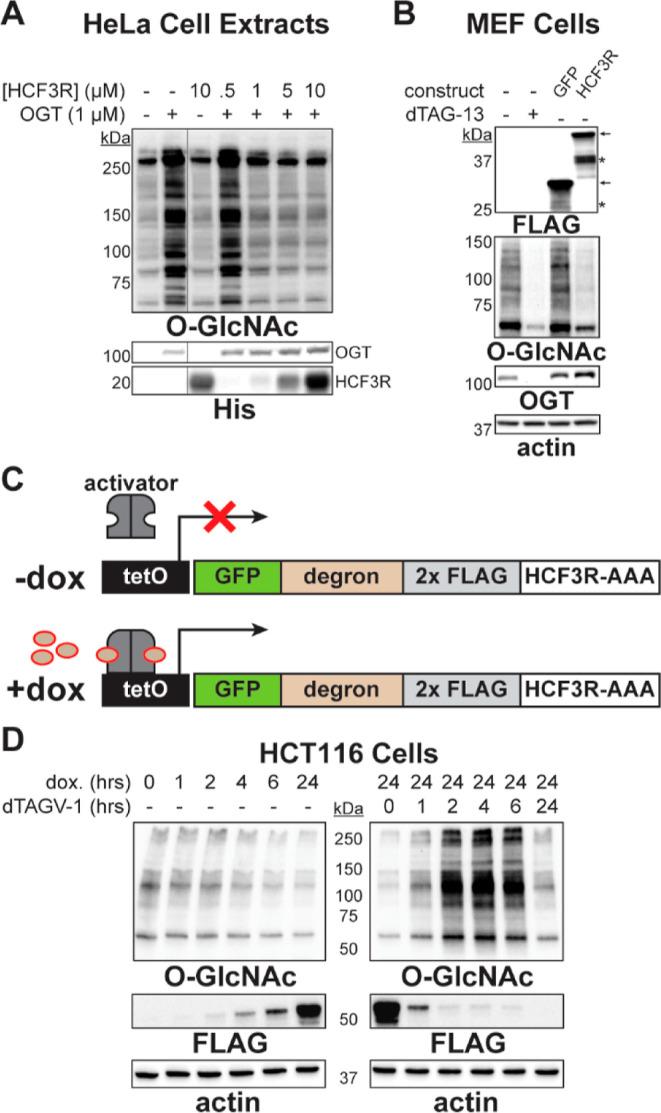 https://cdn.ncbi.nlm.nih.gov/pmc/blobs/e7a6/11440498/608436bea905/ja4c08656_0005.jpg