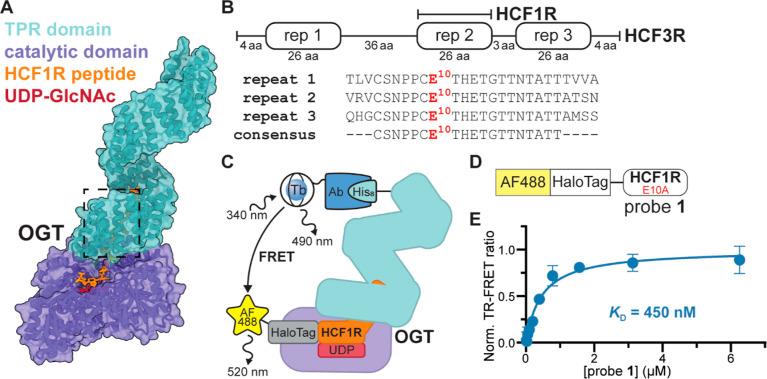 https://cdn.ncbi.nlm.nih.gov/pmc/blobs/e7a6/11440498/c8e23e90c32e/ja4c08656_0001.jpg