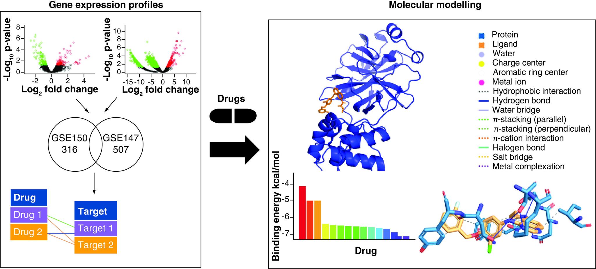 https://cdn.ncbi.nlm.nih.gov/pmc/blobs/e7a6/8293696/ad88b25657b2/figure1.jpg