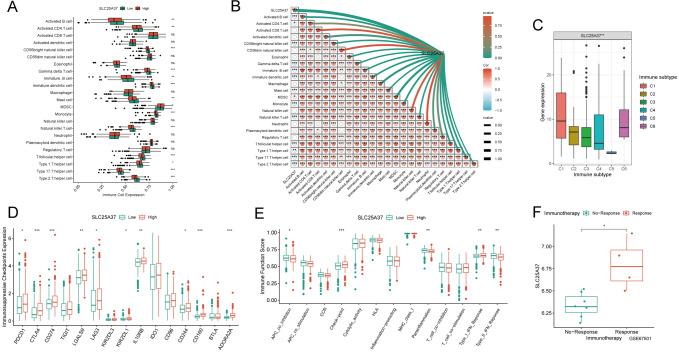 https://cdn.ncbi.nlm.nih.gov/pmc/blobs/e7aa/11793568/40894f590d2d/432_2024_5761_Fig7_HTML.jpg