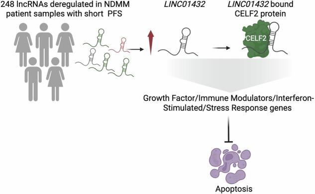 https://cdn.ncbi.nlm.nih.gov/pmc/blobs/e7aa/12500896/e88f0c26cecb/41389_2025_579_Fig6_HTML.jpg