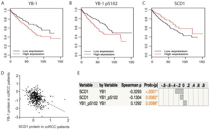 https://cdn.ncbi.nlm.nih.gov/pmc/blobs/e7aa/7479523/adb45d58bd32/ol-20-05-12026-g05.jpg