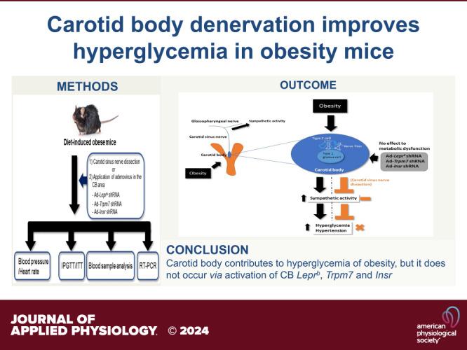 https://cdn.ncbi.nlm.nih.gov/pmc/blobs/e7ac/11219014/2da77ffb141d/jappl-00215-2023r01.jpg
