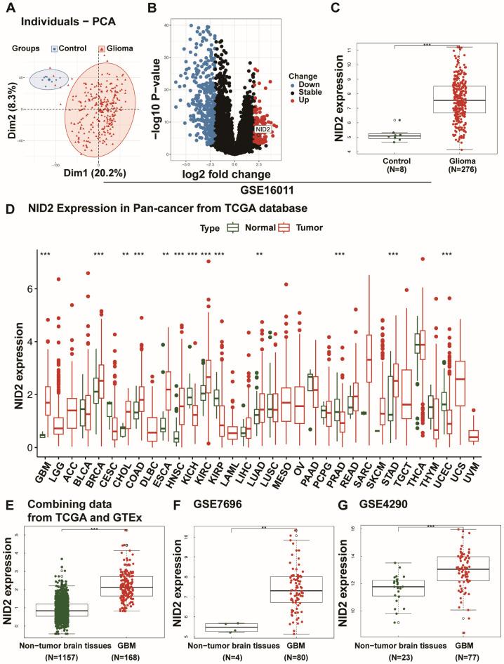 https://cdn.ncbi.nlm.nih.gov/pmc/blobs/e7ac/12028320/9363479e6331/ijms-26-03859-g001.jpg
