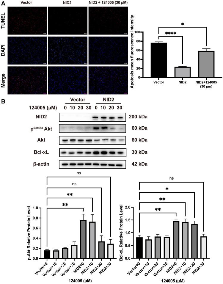 https://cdn.ncbi.nlm.nih.gov/pmc/blobs/e7ac/12028320/b9a56a542326/ijms-26-03859-g009.jpg