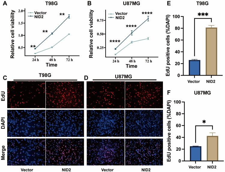 https://cdn.ncbi.nlm.nih.gov/pmc/blobs/e7ac/12028320/f8744fafb712/ijms-26-03859-g006.jpg