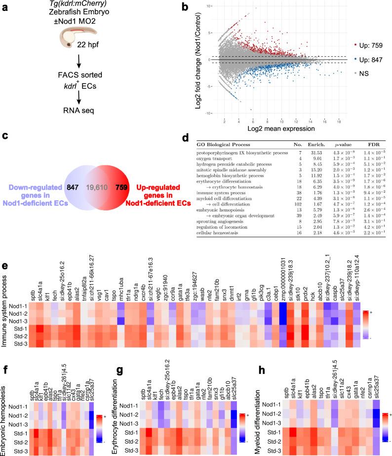 https://cdn.ncbi.nlm.nih.gov/pmc/blobs/e7ae/10667254/5c9b41c7ef0c/41467_2023_43349_Fig5_HTML.jpg