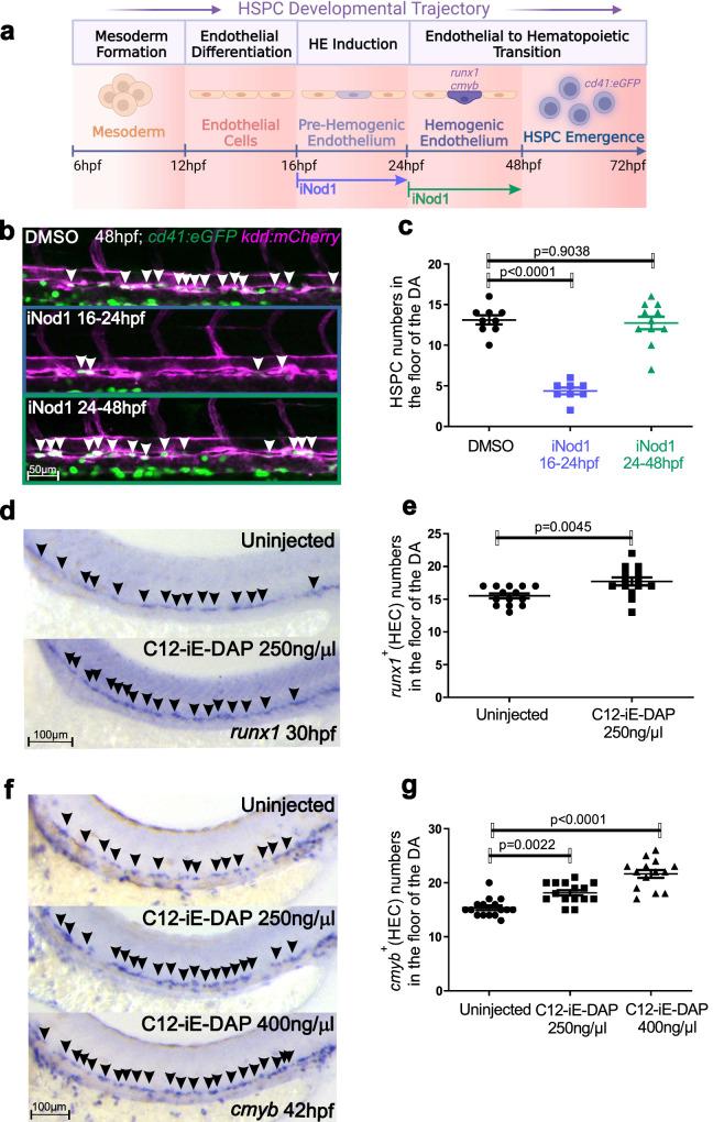 https://cdn.ncbi.nlm.nih.gov/pmc/blobs/e7ae/10667254/9daabb980d49/41467_2023_43349_Fig3_HTML.jpg