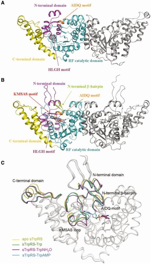 https://cdn.ncbi.nlm.nih.gov/pmc/blobs/e7ae/2879500/fa3ace7af140/gkp1254f1.jpg