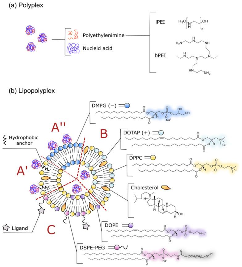 https://cdn.ncbi.nlm.nih.gov/pmc/blobs/e7af/8746209/266c78b17139/materials-15-00179-g001.jpg