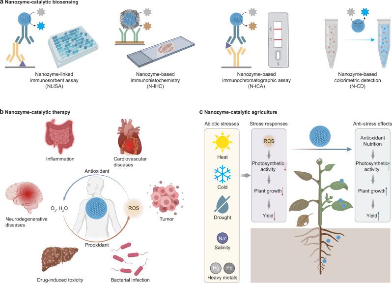 https://cdn.ncbi.nlm.nih.gov/pmc/blobs/e7b0/12290111/0c00b8e12626/41467_2025_62063_Fig7_HTML.jpg
