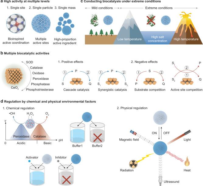 https://cdn.ncbi.nlm.nih.gov/pmc/blobs/e7b0/12290111/2f3067df9587/41467_2025_62063_Fig5_HTML.jpg