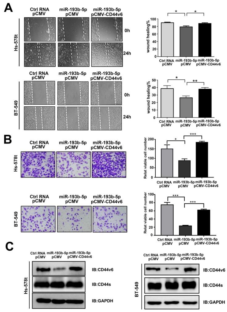 https://cdn.ncbi.nlm.nih.gov/pmc/blobs/e7b0/6930394/4b08e12510be/jcav11p0260g003.jpg