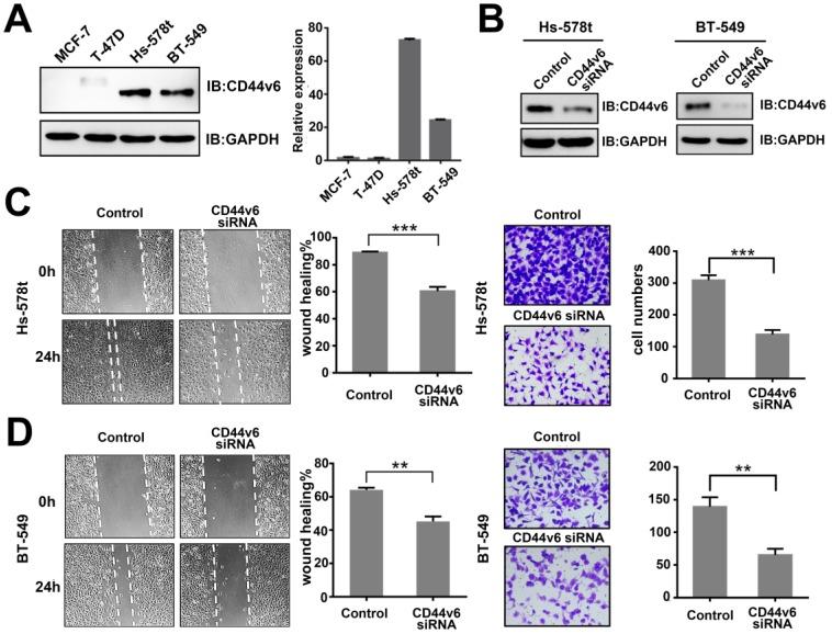 https://cdn.ncbi.nlm.nih.gov/pmc/blobs/e7b0/6930394/4c8e65ff40c2/jcav11p0260g001.jpg