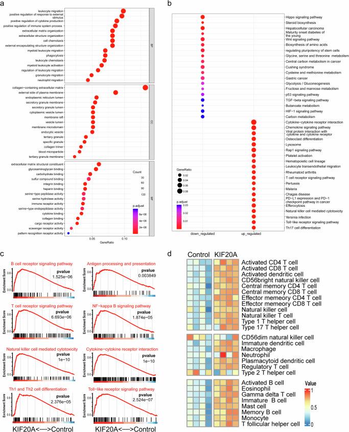 https://cdn.ncbi.nlm.nih.gov/pmc/blobs/e7b1/11699128/6335f4396283/41541_2024_1060_Fig1_HTML.jpg