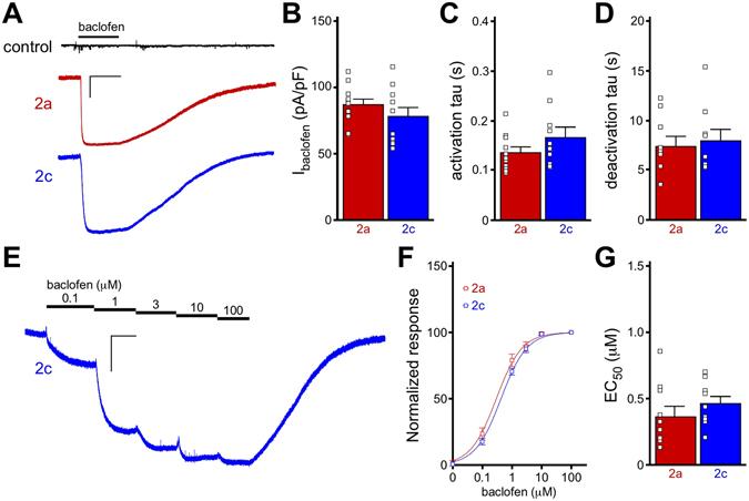 https://cdn.ncbi.nlm.nih.gov/pmc/blobs/e7b1/5431628/1dad0a533f9b/41598_2017_1820_Fig1_HTML.jpg