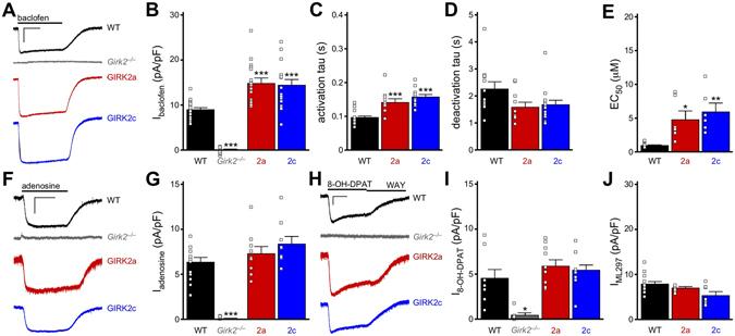 https://cdn.ncbi.nlm.nih.gov/pmc/blobs/e7b1/5431628/51aa568ac326/41598_2017_1820_Fig5_HTML.jpg