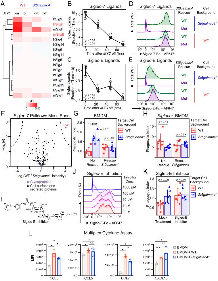 https://cdn.ncbi.nlm.nih.gov/pmc/blobs/e7b2/10089186/1542cf09fe23/pnas.2215376120fig02.jpg