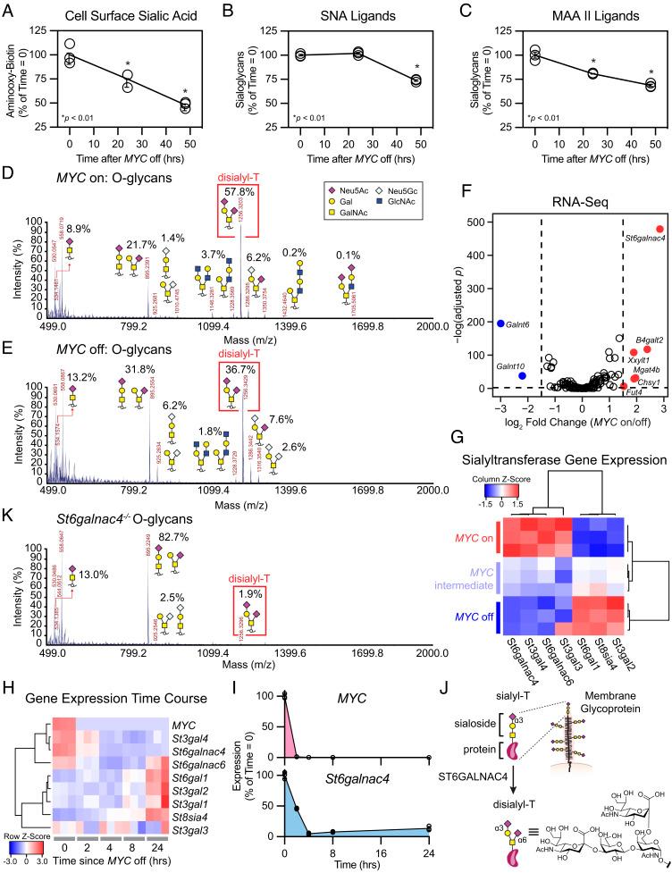 https://cdn.ncbi.nlm.nih.gov/pmc/blobs/e7b2/10089186/78bb37ee38c0/pnas.2215376120fig01.jpg