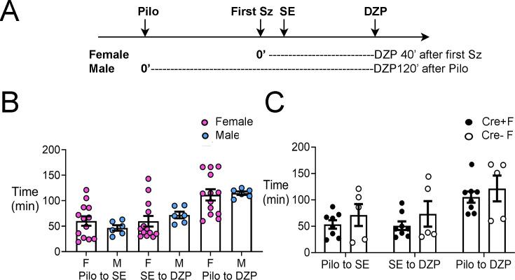 https://cdn.ncbi.nlm.nih.gov/pmc/blobs/e7b4/11501206/310378e6072a/elife-90893-fig1-figsupp4.jpg