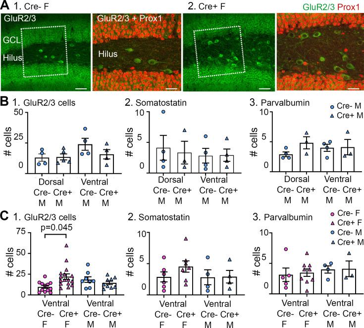 https://cdn.ncbi.nlm.nih.gov/pmc/blobs/e7b4/11501206/45713d329607/elife-90893-fig7-figsupp1.jpg