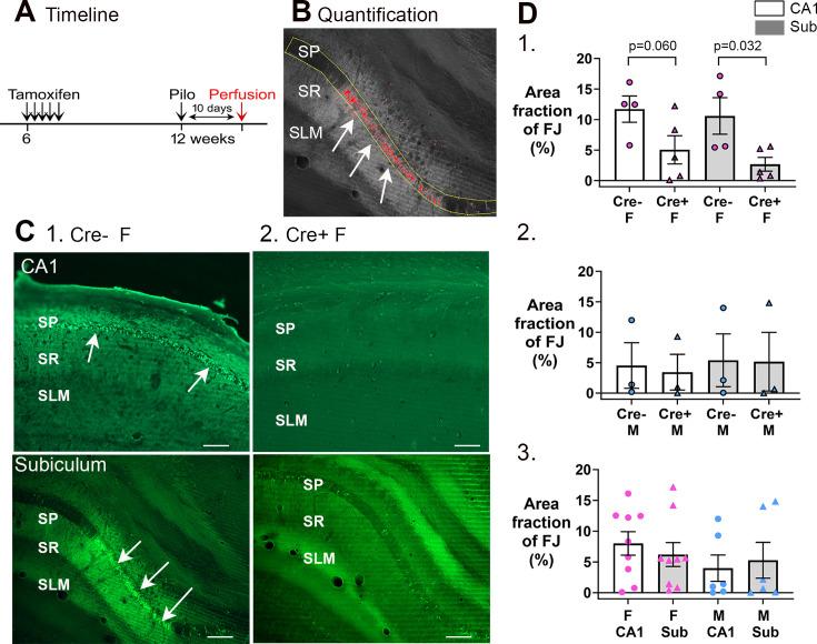 https://cdn.ncbi.nlm.nih.gov/pmc/blobs/e7b4/11501206/7d1588db448d/elife-90893-fig8.jpg