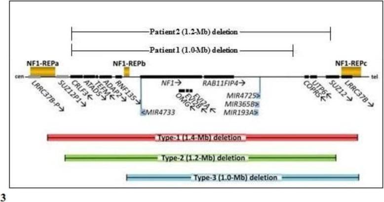 https://cdn.ncbi.nlm.nih.gov/pmc/blobs/e7b4/6839219/c63d442a2ebd/13052_2019_718_Fig3_HTML.jpg