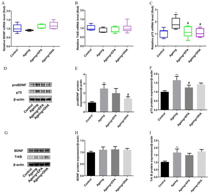 https://cdn.ncbi.nlm.nih.gov/pmc/blobs/e7b5/10382059/93586f47387d/marinedrugs-21-00398-g006.jpg