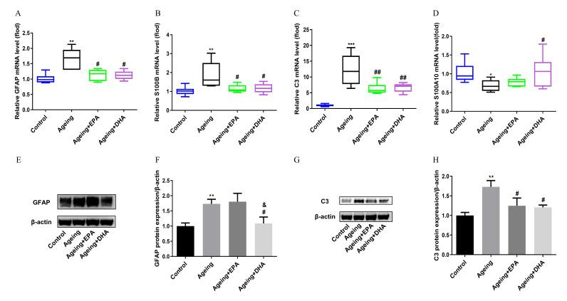 https://cdn.ncbi.nlm.nih.gov/pmc/blobs/e7b5/10382059/9387ee88faa0/marinedrugs-21-00398-g005.jpg