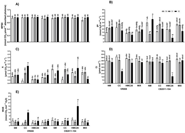 https://cdn.ncbi.nlm.nih.gov/pmc/blobs/e7b5/11054134/05e7764f8606/plants-13-01153-g001.jpg