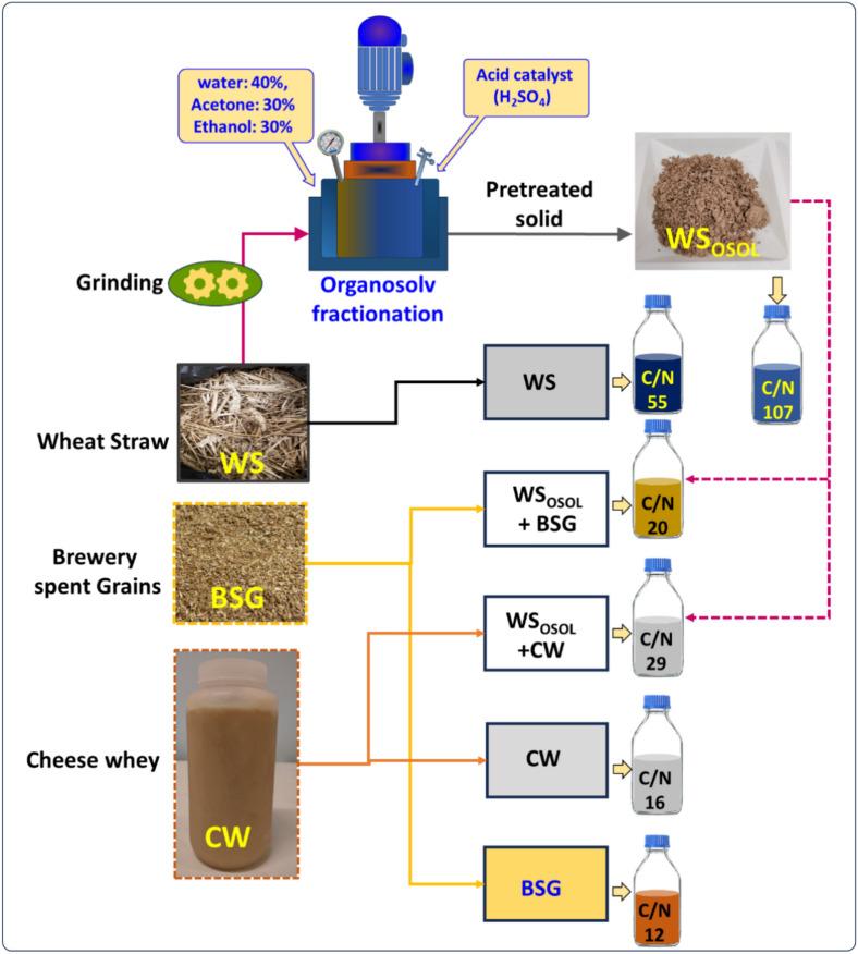 https://cdn.ncbi.nlm.nih.gov/pmc/blobs/e7b5/11310495/111dae189d64/41598_2024_68904_Fig1_HTML.jpg