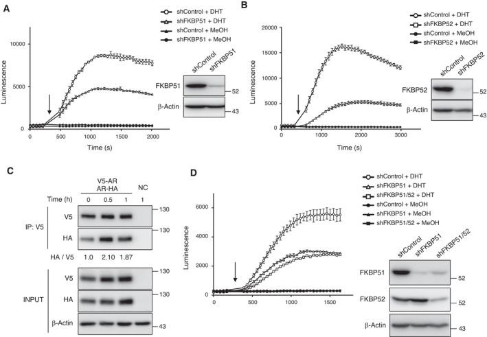 https://cdn.ncbi.nlm.nih.gov/pmc/blobs/e7b7/8847985/d6121ddffb1d/MOL2-16-940-g002.jpg