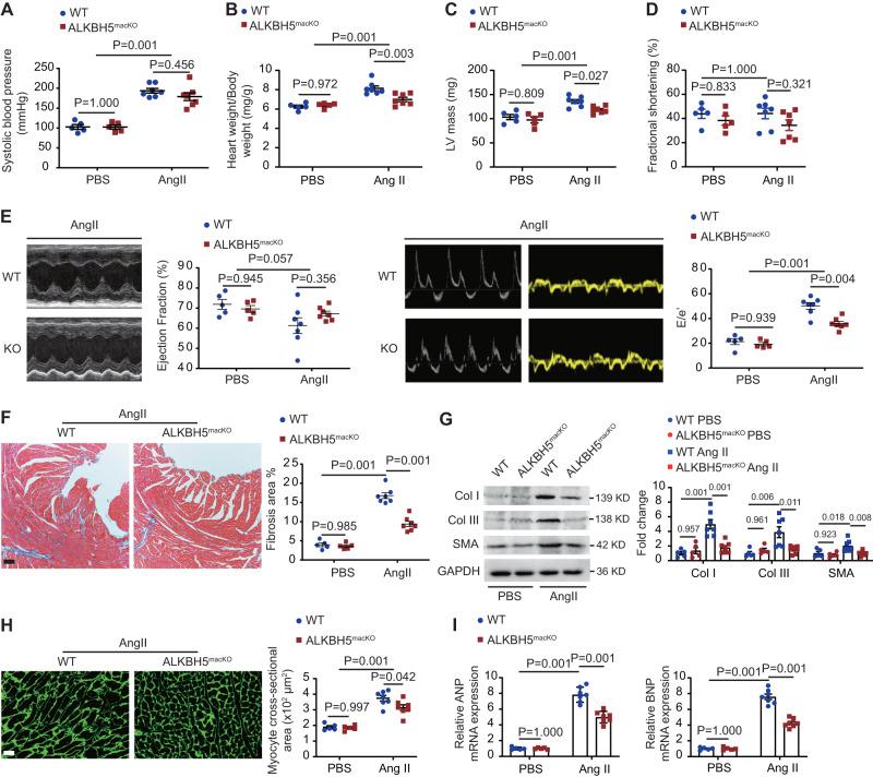https://cdn.ncbi.nlm.nih.gov/pmc/blobs/e7b8/10914760/0dd90afec058/41467_2024_46357_Fig3_HTML.jpg