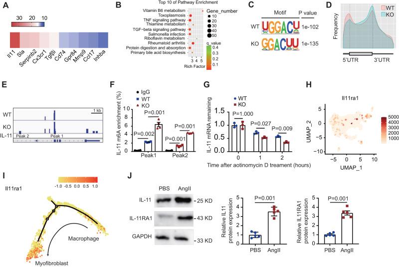 https://cdn.ncbi.nlm.nih.gov/pmc/blobs/e7b8/10914760/14a0b9a1360a/41467_2024_46357_Fig5_HTML.jpg