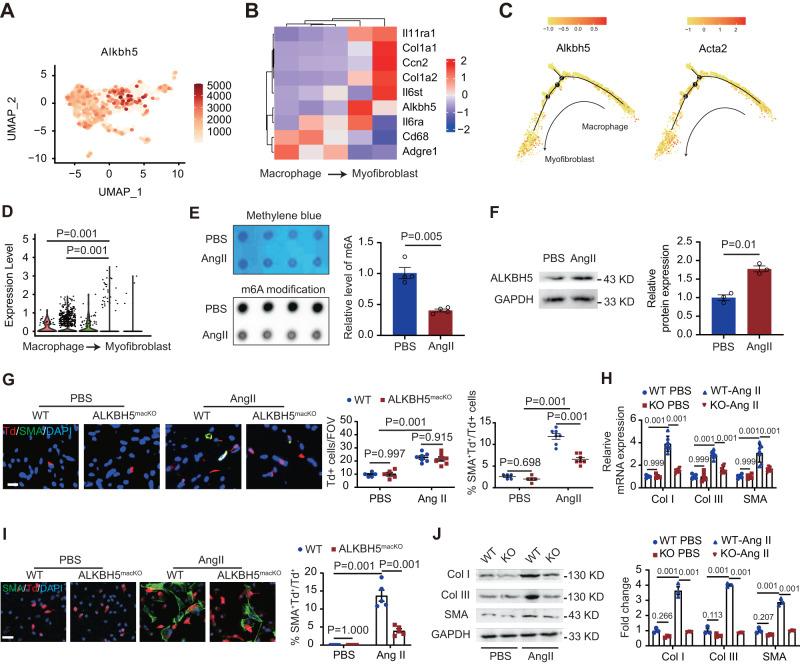 https://cdn.ncbi.nlm.nih.gov/pmc/blobs/e7b8/10914760/568d87dd9086/41467_2024_46357_Fig2_HTML.jpg