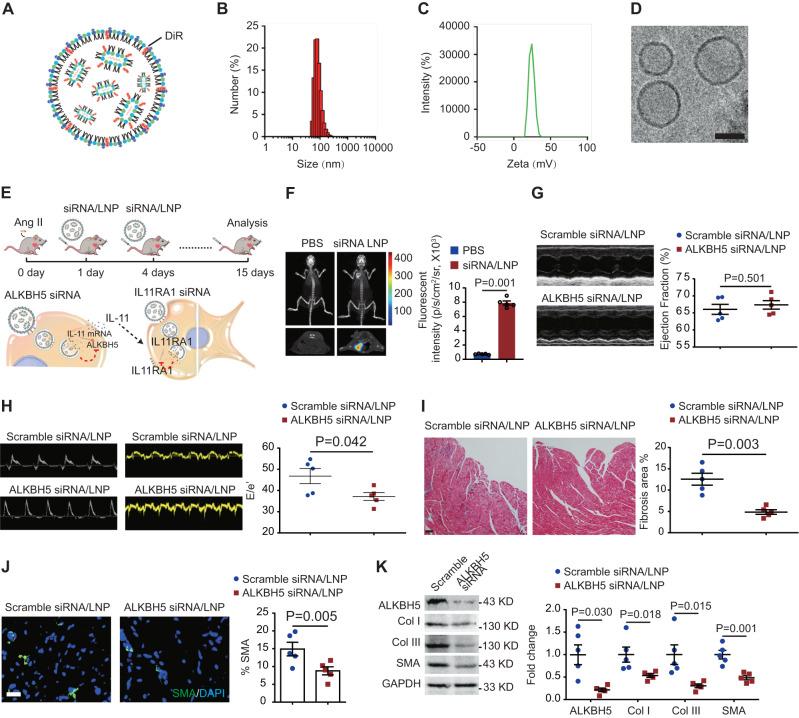 https://cdn.ncbi.nlm.nih.gov/pmc/blobs/e7b8/10914760/a192d095c1d0/41467_2024_46357_Fig7_HTML.jpg
