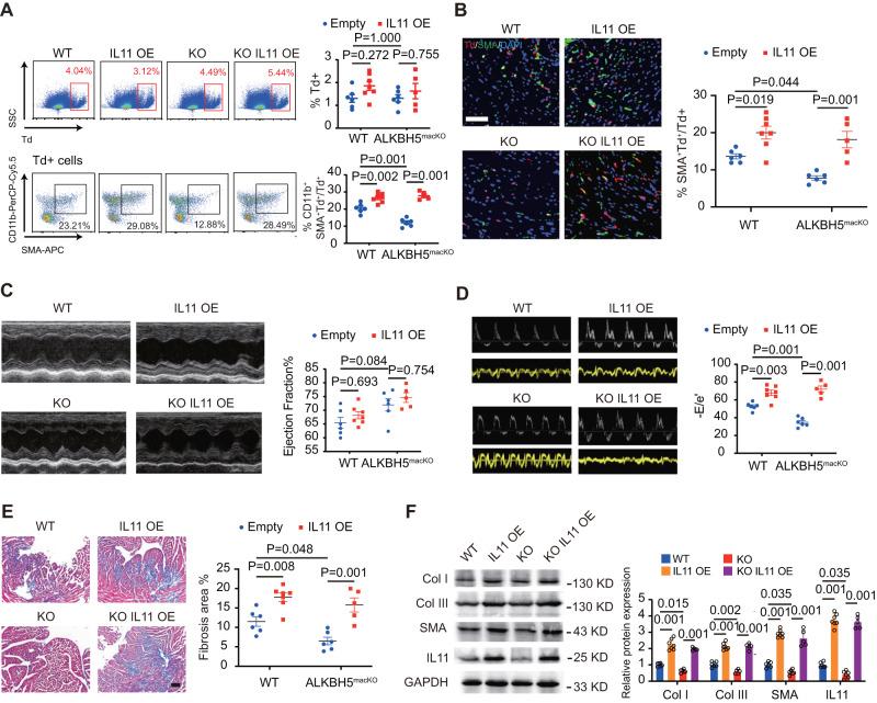 https://cdn.ncbi.nlm.nih.gov/pmc/blobs/e7b8/10914760/af876643ad9e/41467_2024_46357_Fig6_HTML.jpg