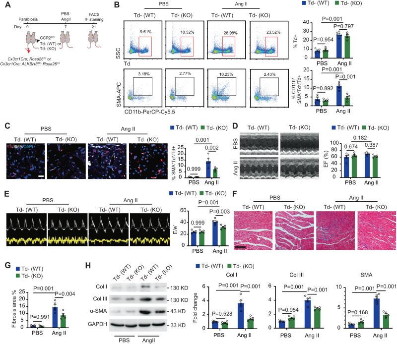 https://cdn.ncbi.nlm.nih.gov/pmc/blobs/e7b8/10914760/d5cc1d596f81/41467_2024_46357_Fig4_HTML.jpg