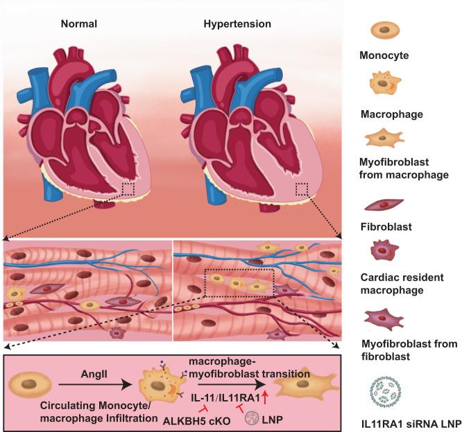 https://cdn.ncbi.nlm.nih.gov/pmc/blobs/e7b8/10914760/e128b1c890a2/41467_2024_46357_Fig8_HTML.jpg