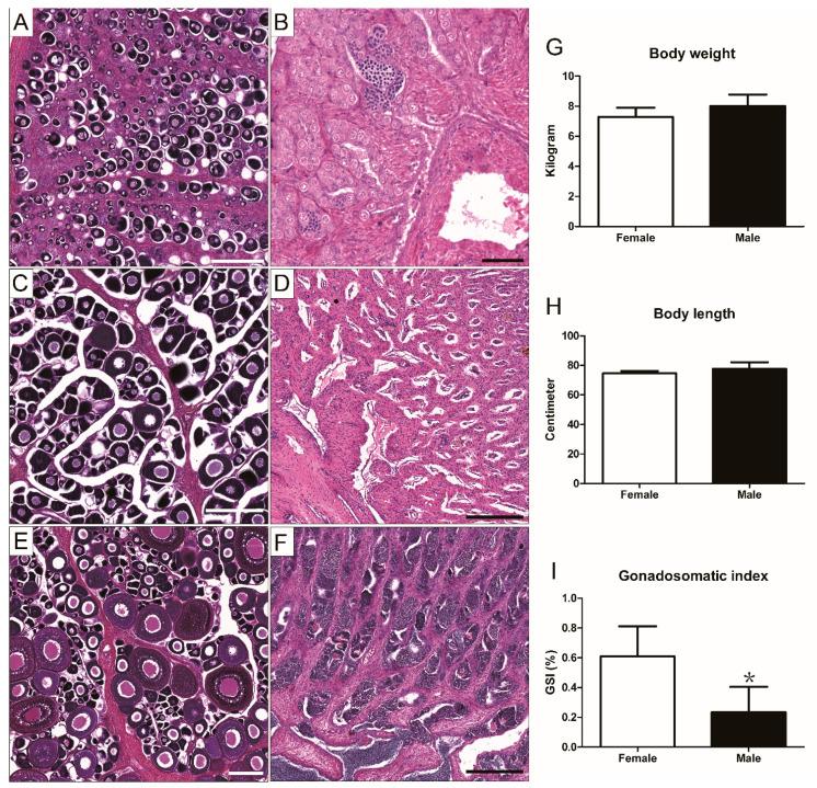 https://cdn.ncbi.nlm.nih.gov/pmc/blobs/e7bc/9505948/c455da1d1a1f/life-12-01457-g004.jpg