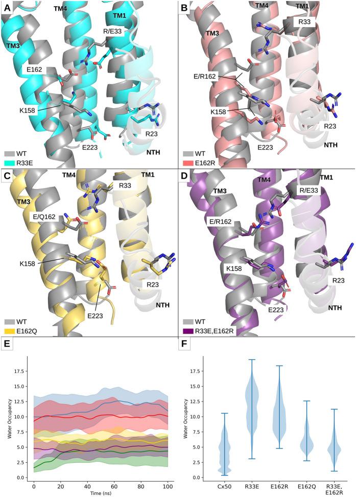 https://cdn.ncbi.nlm.nih.gov/pmc/blobs/e7bd/11112876/a610287fbd8c/40659_2024_501_Fig3_HTML.jpg