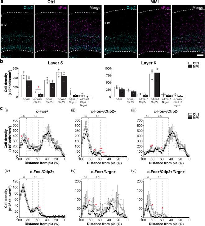 https://cdn.ncbi.nlm.nih.gov/pmc/blobs/e7bf/12397253/cce2540b36c2/41598_2025_17482_Fig8_HTML.jpg
