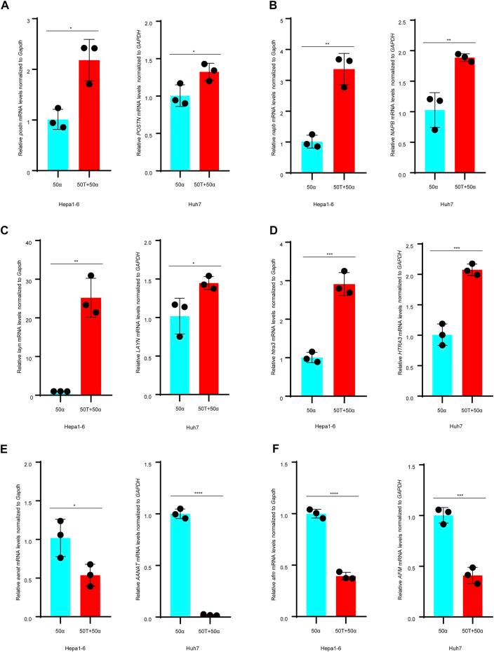 https://cdn.ncbi.nlm.nih.gov/pmc/blobs/e7c0/9167932/ab95f5f7b57d/fcell-10-840171-g005.jpg
