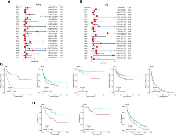 https://cdn.ncbi.nlm.nih.gov/pmc/blobs/e7c0/9902954/d91ae8aaf180/fonc-13-1074955-g006.jpg