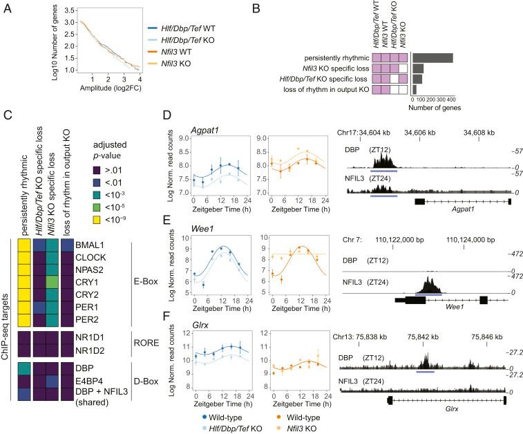 https://cdn.ncbi.nlm.nih.gov/pmc/blobs/e7c3/7826335/803899b464ae/pnas.2015803118fig05.jpg