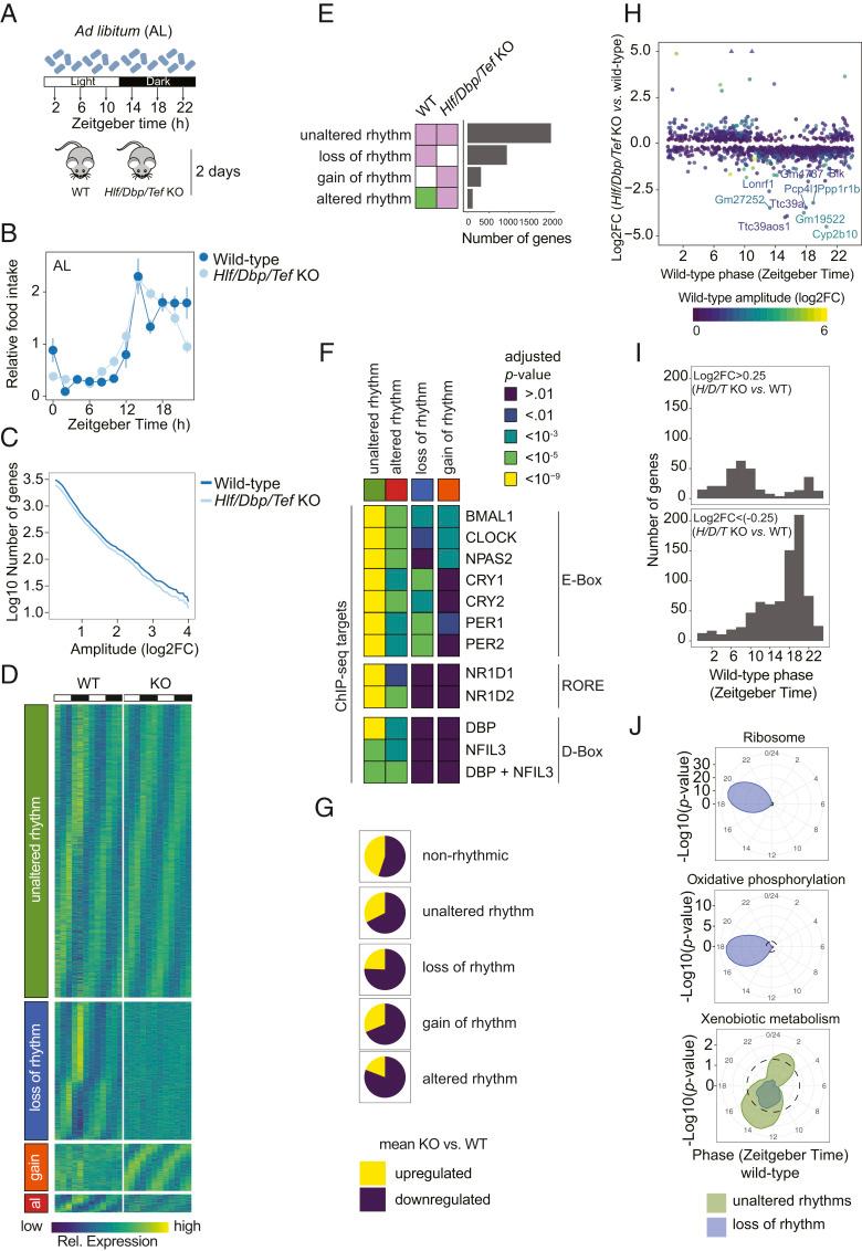 https://cdn.ncbi.nlm.nih.gov/pmc/blobs/e7c3/7826335/a044d40fbd99/pnas.2015803118fig04.jpg