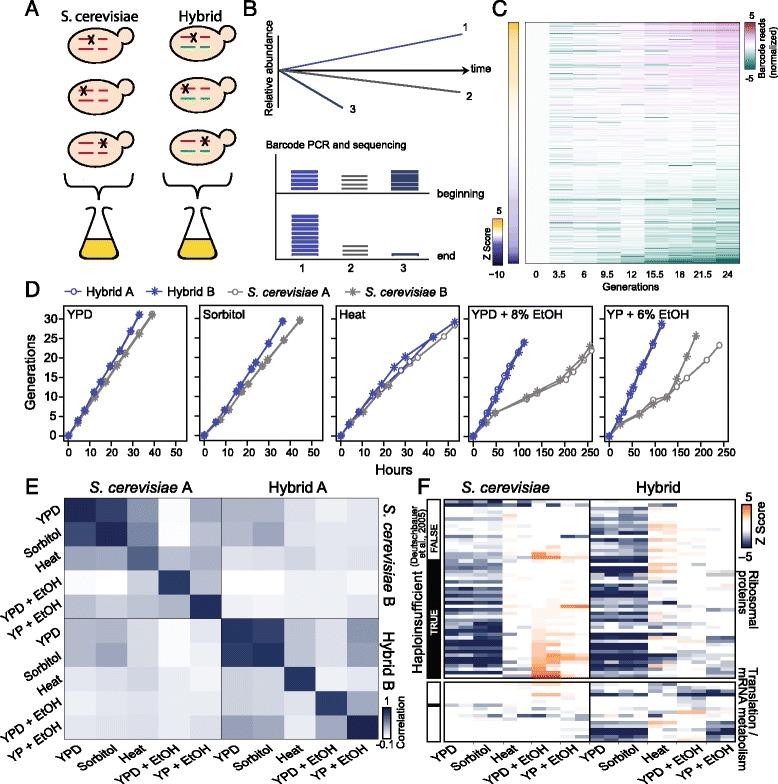 https://cdn.ncbi.nlm.nih.gov/pmc/blobs/e7c4/5426048/bef2ea1a63f0/12915_2017_373_Fig4_HTML.jpg