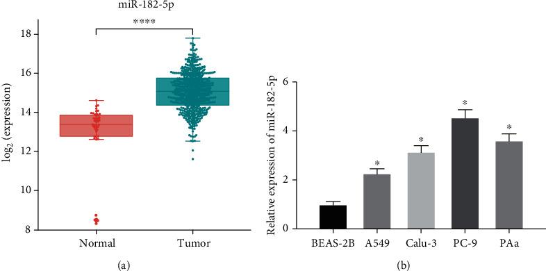 https://cdn.ncbi.nlm.nih.gov/pmc/blobs/e7c5/8321761/d2b5adaa69e8/CMMM2021-7074343.001.jpg