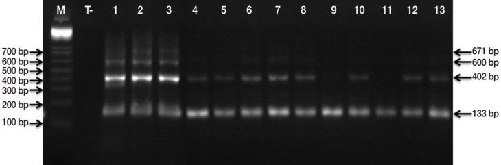 https://cdn.ncbi.nlm.nih.gov/pmc/blobs/e7c6/4792316/c485f712617b/kjp-54-1-113f2.jpg
